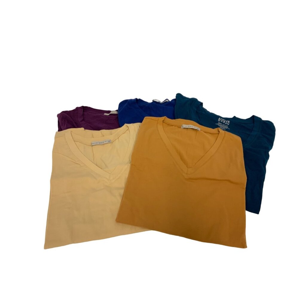Bundle of 5 Basic V-Neck Tees
